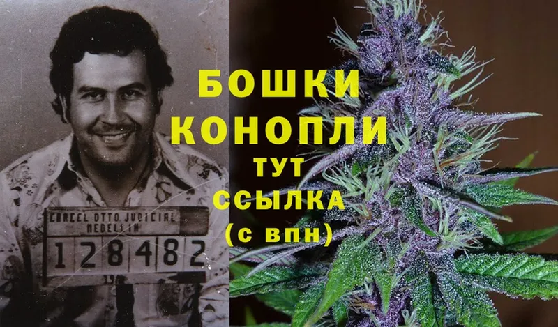 Конопля White Widow  Балей 